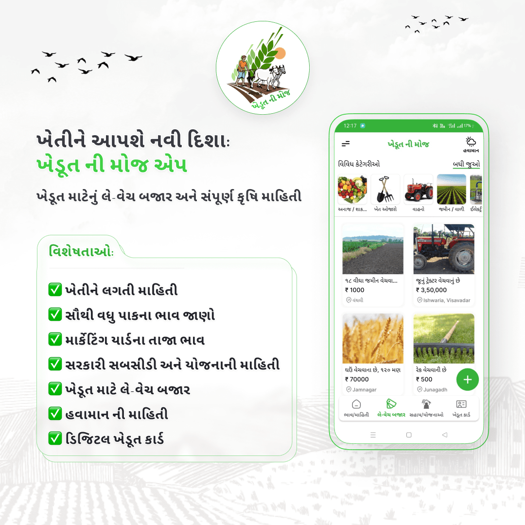 Best Gujarat Market Yard Bhav App